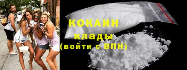 стаф Богородск