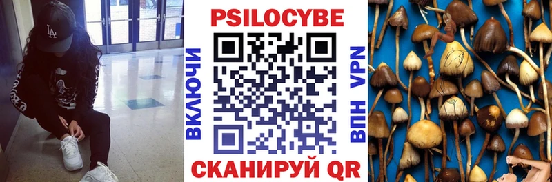Псилоцибиновые грибы мицелий дарнет шоп Минеральные Воды